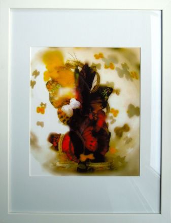 Fragments - 2013<br /><br /><h6>Nabokovâ€™s Butterflies 1</h6>  Artistâ€™s photographic print  on Somerset Velvet 1/5 <br /> 300mm x 400mm H <br /><br /><br /><br /><br /><br /><br /><h7>For sale</h7>